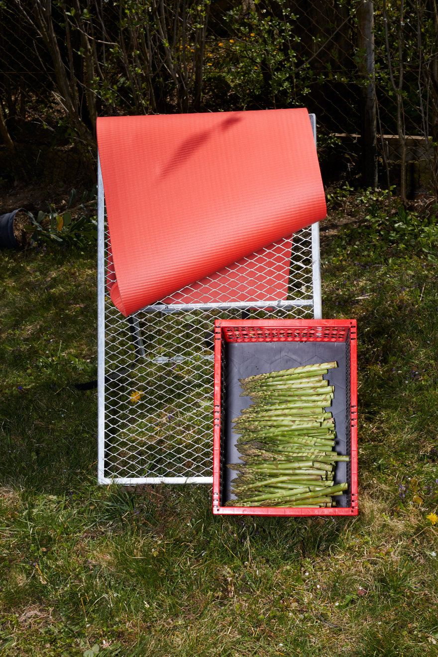 Mann nimmt Fisch aus.